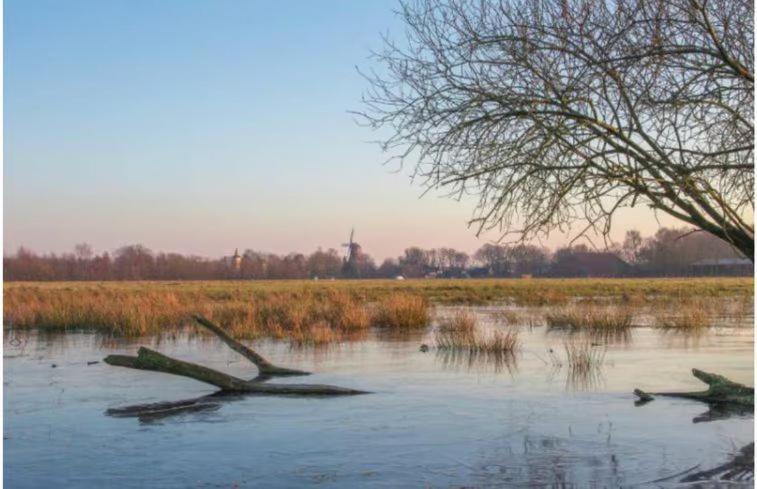 Sari Villa Steendam Buitenkant foto